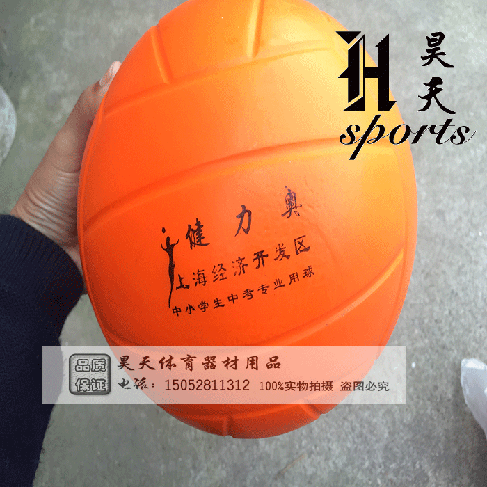Ballon de volley - Ref 2012588