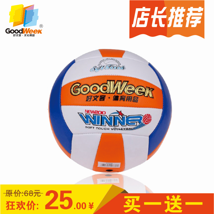 Ballon de volley - Ref 2012601