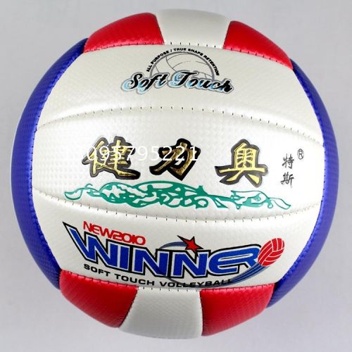 Ballon de volley - Ref 2012604