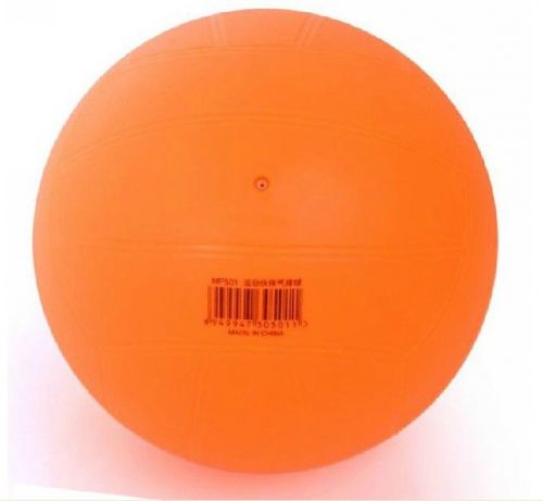 Ballon de volley - Ref 2012640