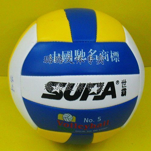 Ballon de volley - Ref 2012643