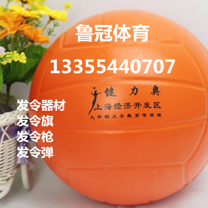 Ballon de volley - Ref 2012657