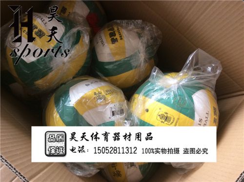 Ballon de volley - Ref 2012658