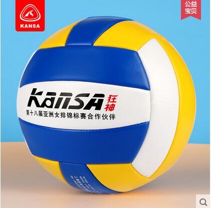 Ballon de volley - Ref 2012674