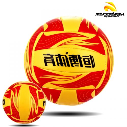 Ballon de volley - Ref 2012809