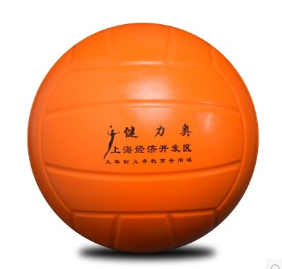 Ballon de volley - Ref 2012825