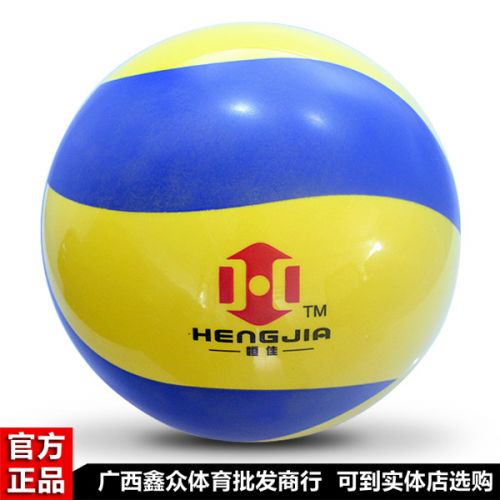 Ballon de volley - Ref 2012832