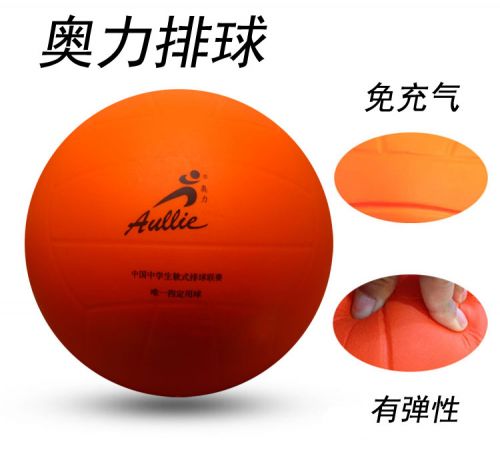 Ballon de volley - Ref 2012834