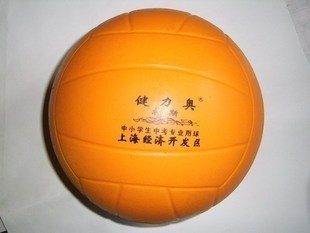 Ballon de volley - Ref 2012881