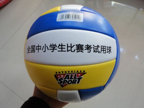 Ballon de volley - Ref 2012891