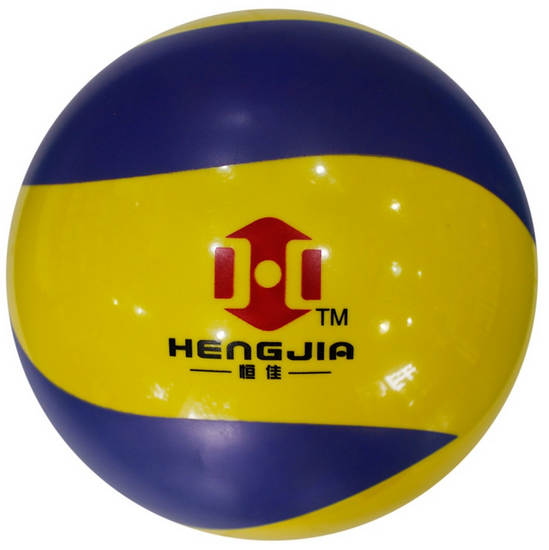 Ballon de volley - Ref 2012899