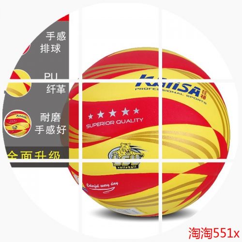 Ballon de volley - Ref 2012904