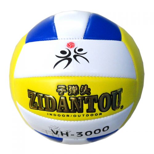 Ballon de volley - Ref 2012906