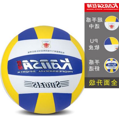 Ballon de volley - Ref 2012960