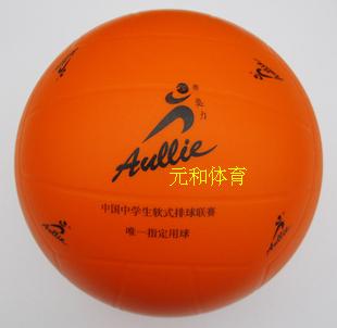 Ballon de volley - Ref 2012975