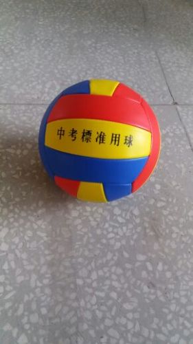 Ballon de volley - Ref 2012981