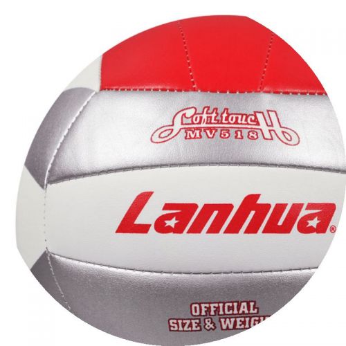 Ballon de volley 2013010