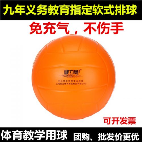 Ballon de volley - Ref 2013014