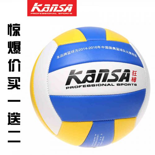 Ballon de volley - Ref 2013034