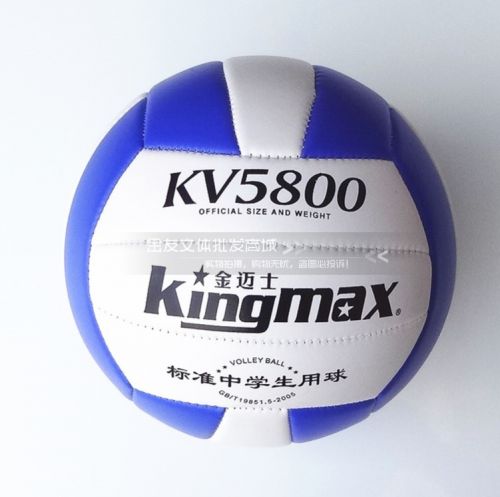 Ballon de volley - Ref 2013064