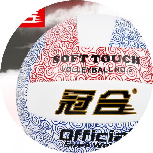 Ballon de volley - Ref 2013084