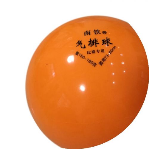 Ballon de volley - Ref 2013091