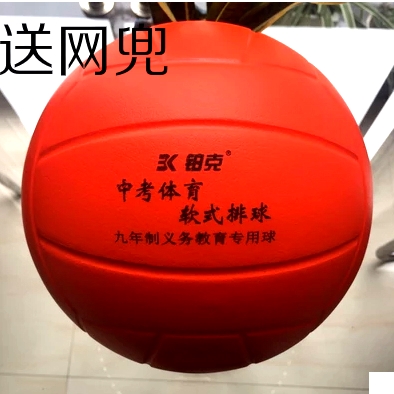 Ballon de volley - Ref 2013093