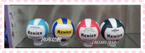 Ballon de volley - Ref 2013095