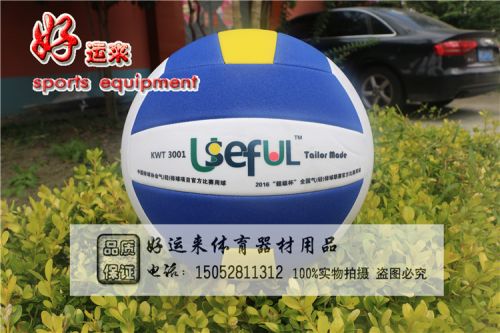 Ballon de volley - Ref 2013097
