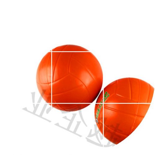 Ballon de volley - Ref 2013099
