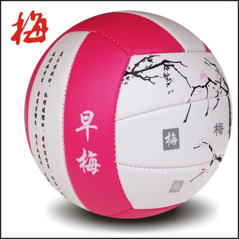 Ballon de volley - Ref 2013102