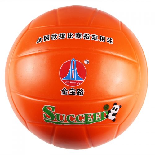 Ballon de volley - Ref 2013124