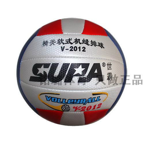 Ballon de volley - Ref 2013133