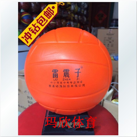 Ballon de volley - Ref 2013134