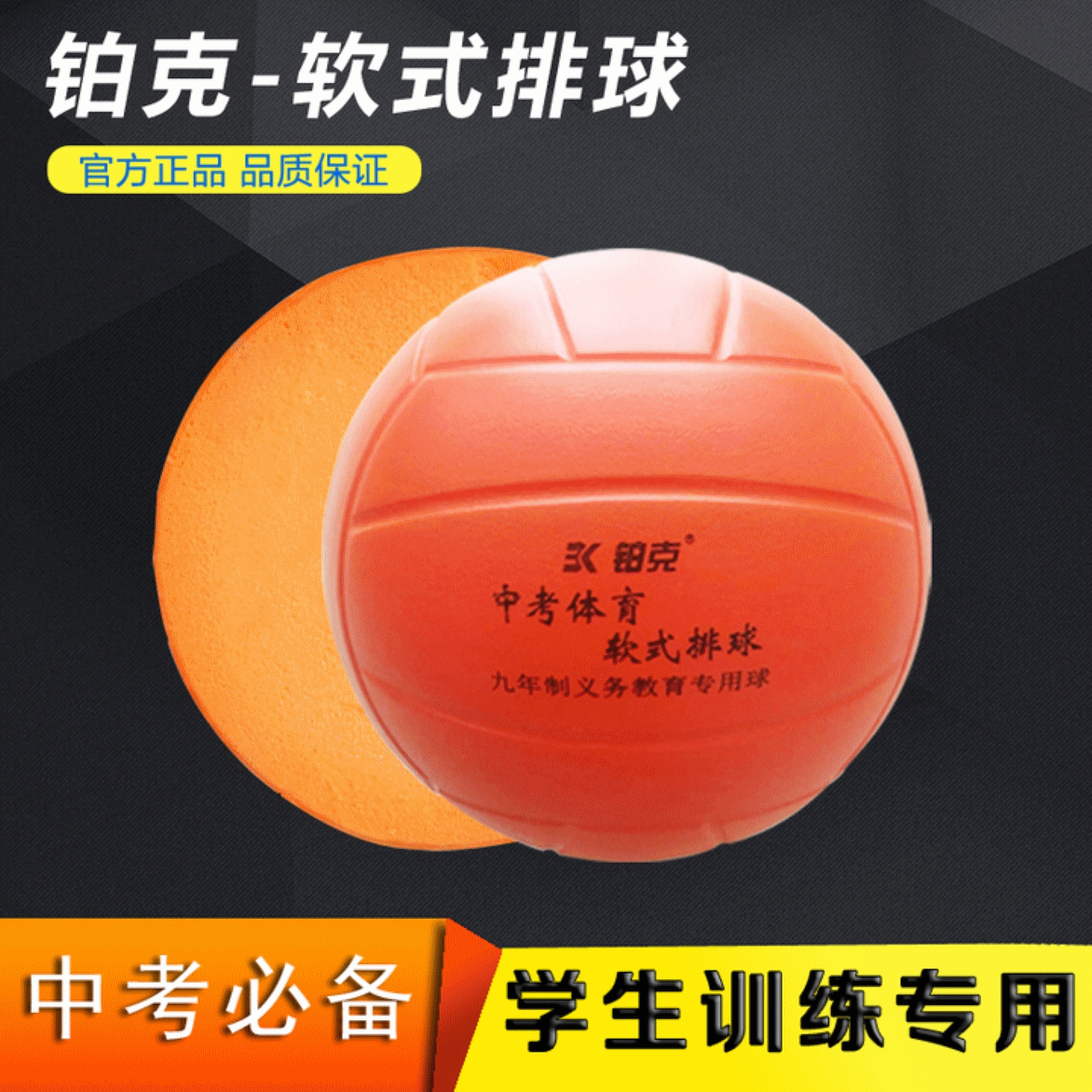Ballon de volley - Ref 2013154