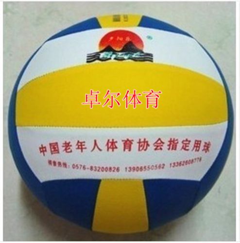 Ballon de volley - Ref 2013159