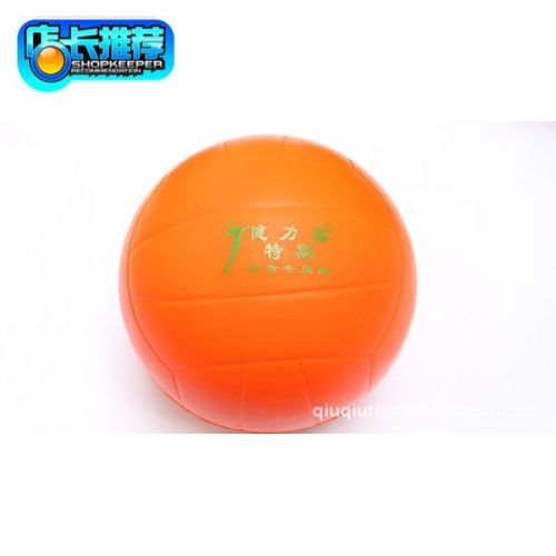 Ballon de volley - Ref 2013161