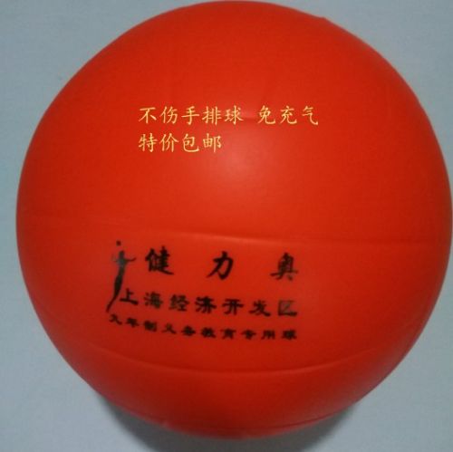 Ballon de volley - Ref 2013162