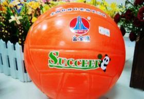 Ballon de volley - Ref 2013163