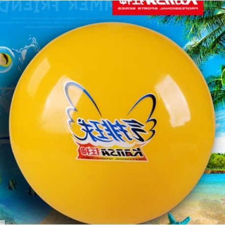 Ballon de volley - Ref 2013165