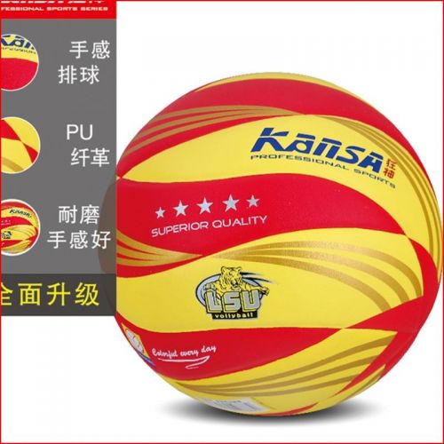 Ballon de volley - Ref 2013178
