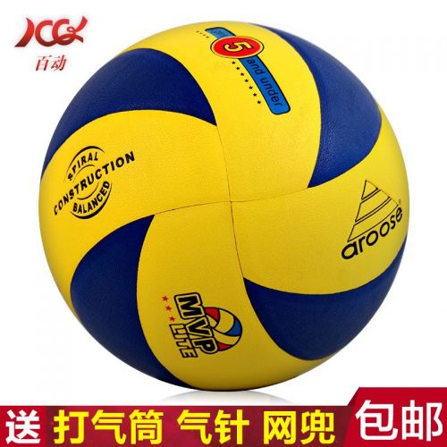 Ballon de volley - Ref 2013182