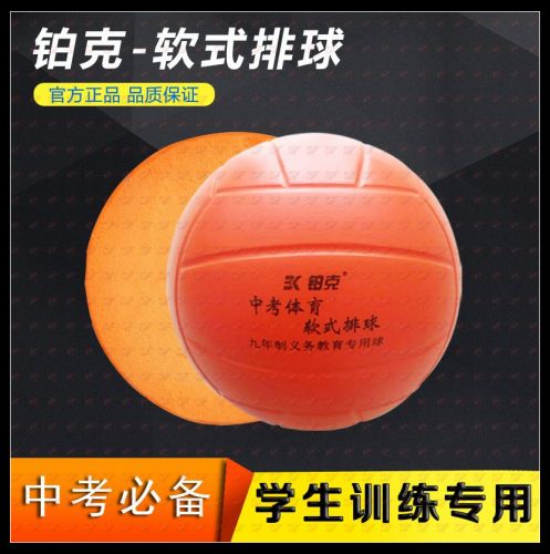 Ballon de volley - Ref 2013192