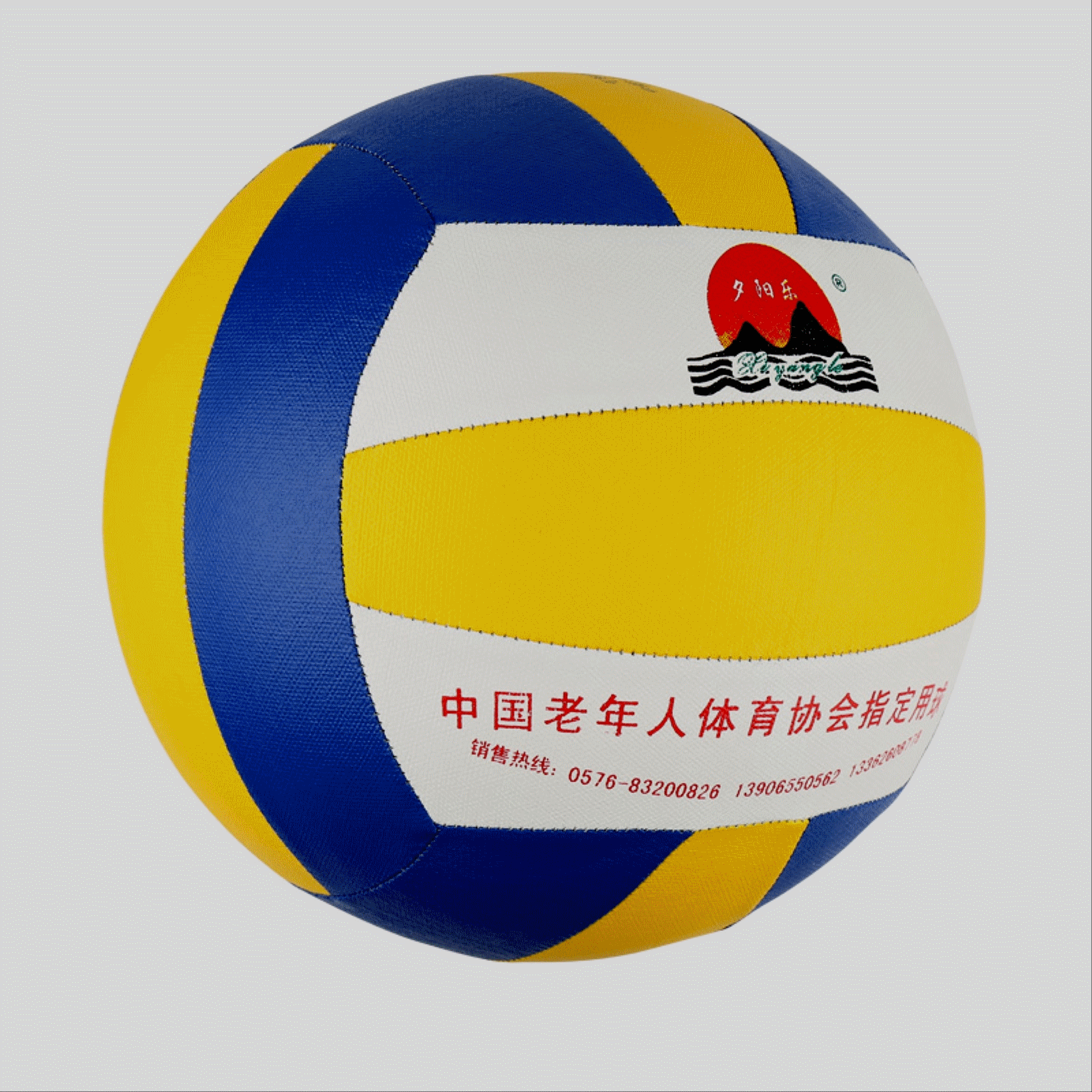 Ballon de volley - Ref 2013208