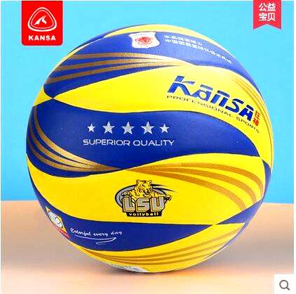 Ballon de volley - Ref 2013231