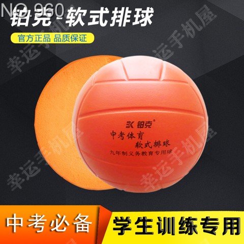 Ballon de volley - Ref 2013235