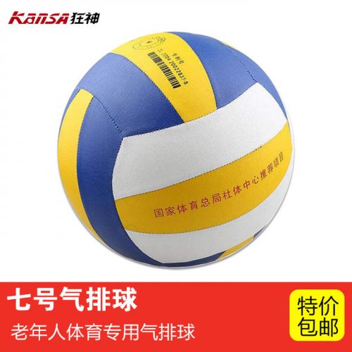 Ballon de volley - Ref 2013237