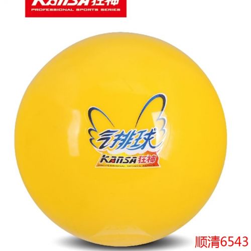 Ballon de volley - Ref 2013254