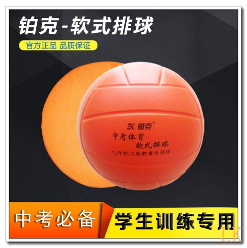 Ballon de volley - Ref 2013259