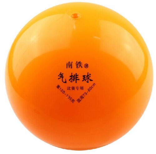 Ballon de volley - Ref 2013270
